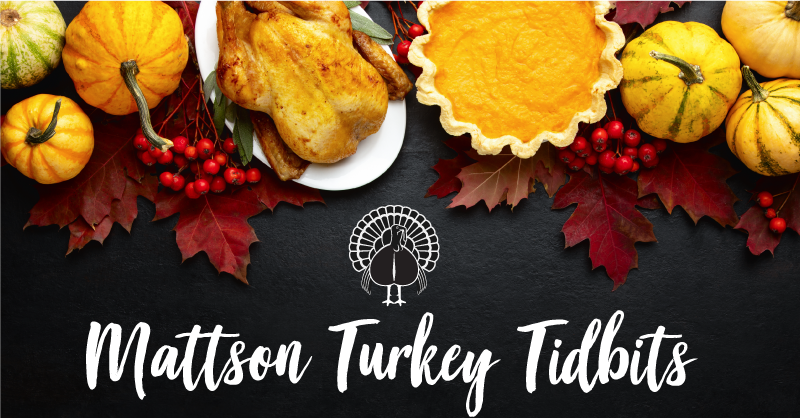 Turkey Tidbits + Happy Thanksgiving!